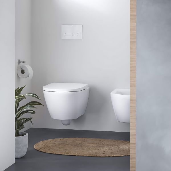 Work in a Wall-Mounted Toilet