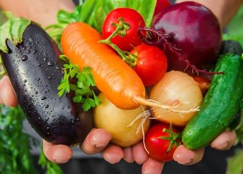 Year-Round Gardening: What to Plant in Each Season Year-Round Gardening