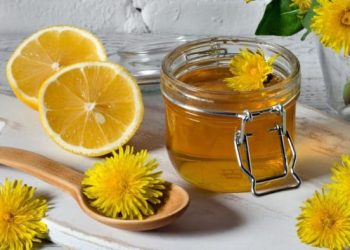 Benefits of Dandelion