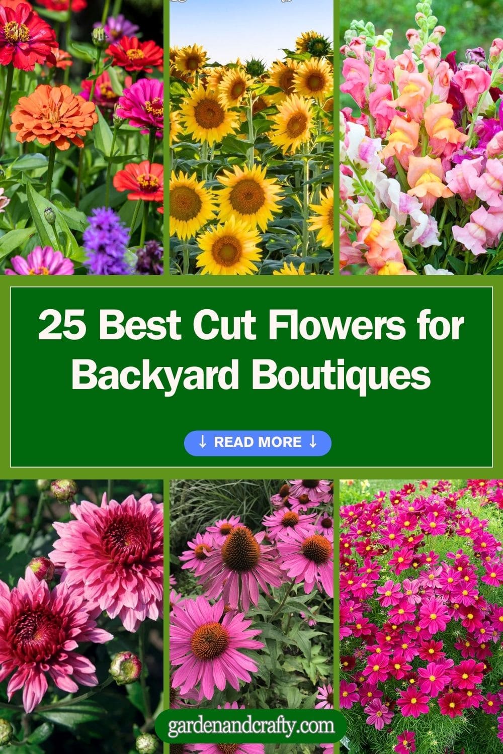 25 Best Cut Flowers for Backyard Boutiques