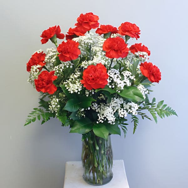 Carnations in Vase