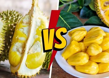 Durian vs Jackfruit: What is The Difference? Durian vs. Jackfruit