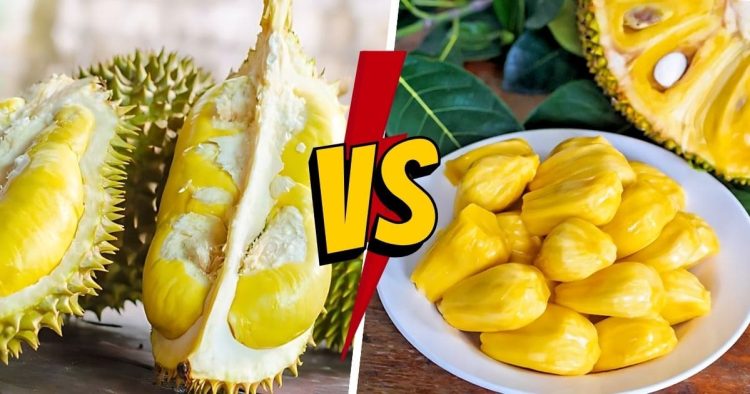 Durian vs. Jackfruit