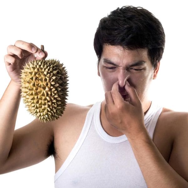 Durians Odor
