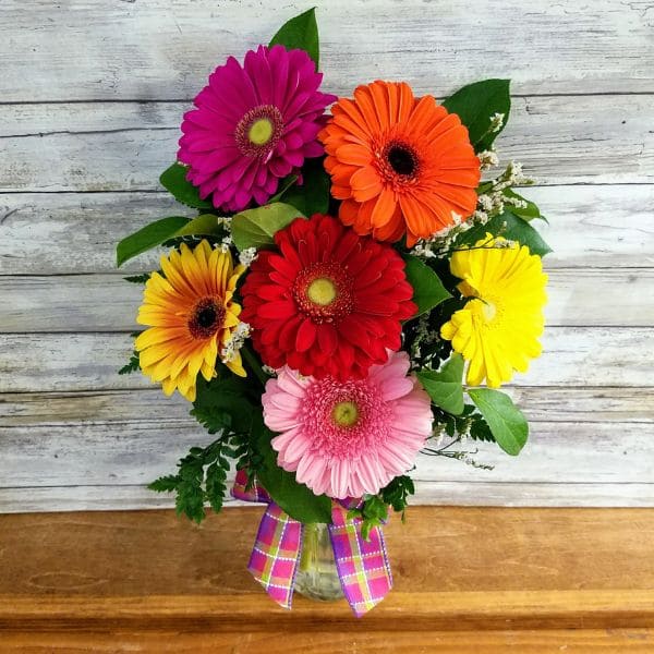 Gerbera Daisies