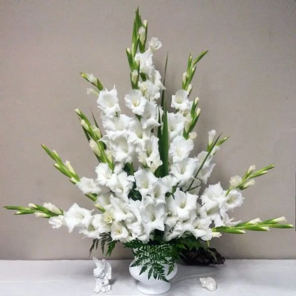 Gladiolus in Vase