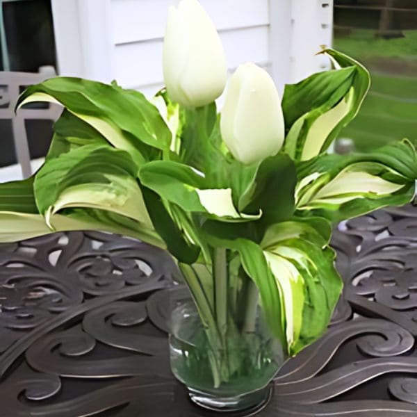 Hosta Arrangement Idea