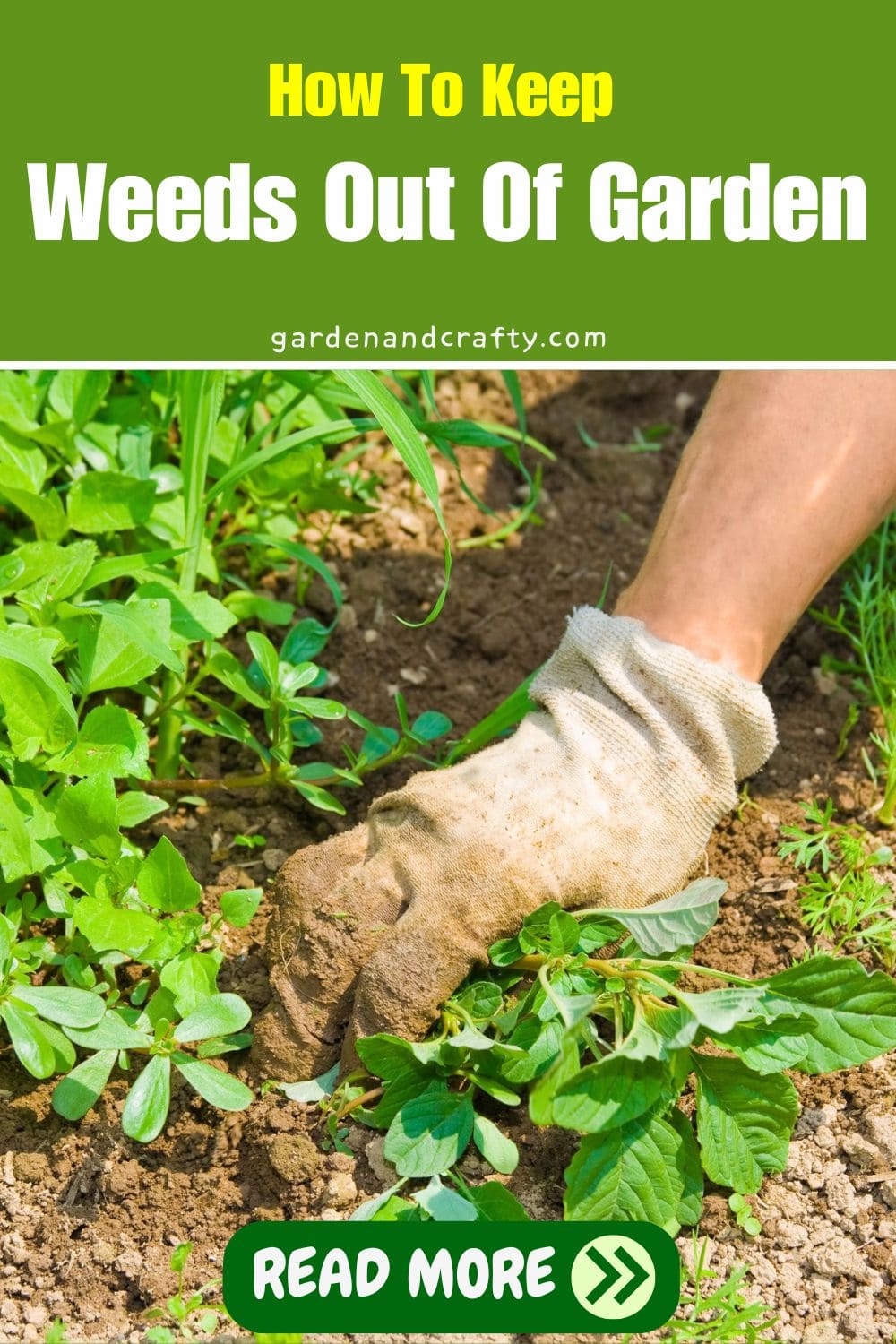 How To Keep Weeds Out Of Garden