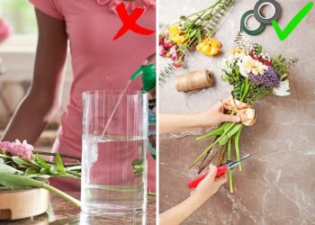 How to Revive Wilting Flowers In A Vase How to Revive Droopy Flowers In A Vase