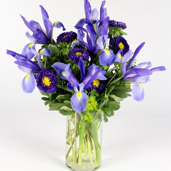 Irises in Vase