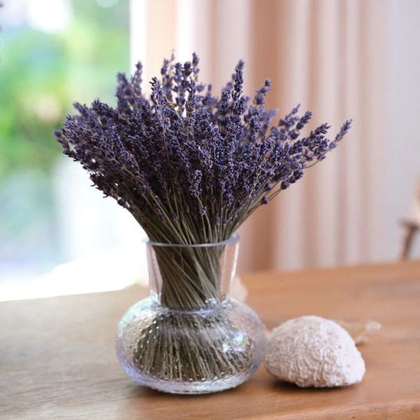 Lavender in Vase