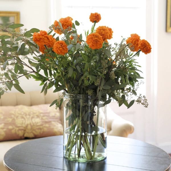 Marigolds in Vase