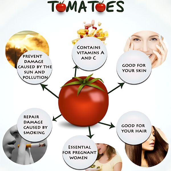 Determinate Vs Indeterminate Tomatoes