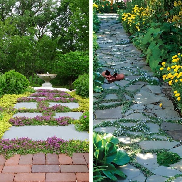 Pathway Accents