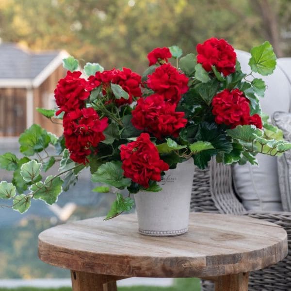 Scented Geranium Arrangement Idea