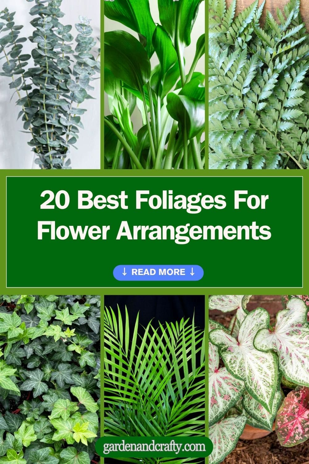 Top 20 Best Foliages For Flower Arrangements