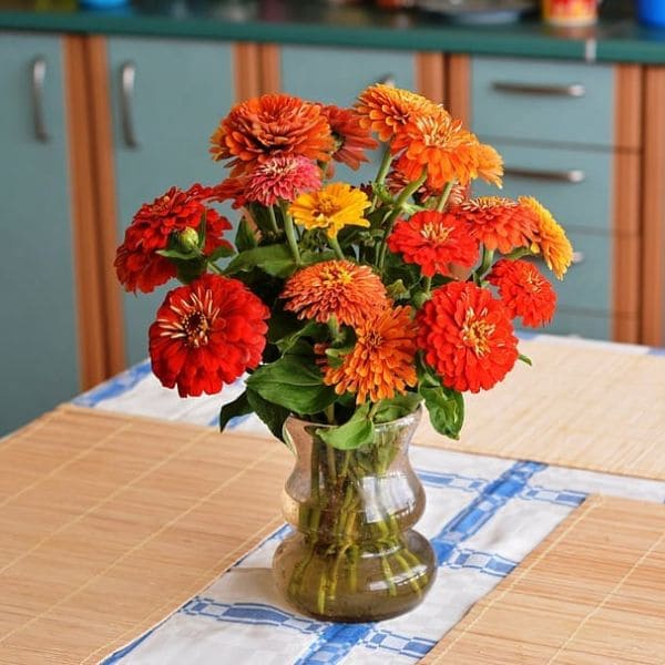 Zinnias in Vase