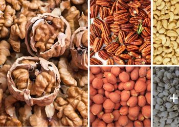 Top 20 Seeds That Look Like A Brain 20 Seeds That Look Like A Brain