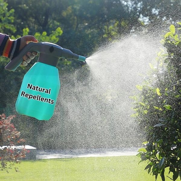 Applying Natural Repellents