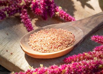 Benefits of Amaranth Plants