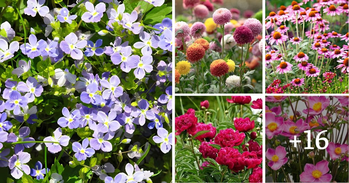 The 20 Best Perennials For Cut Flowers