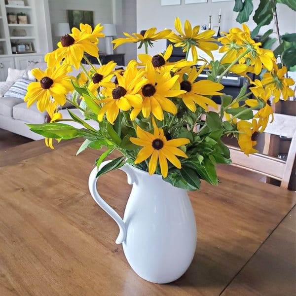 Black-eyed Susan in Vase