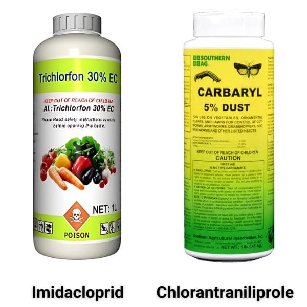 Curative Insecticides