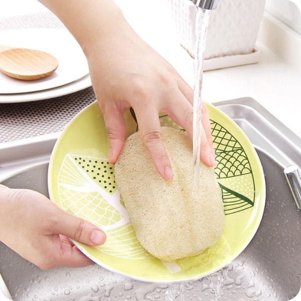 Dish Sponges