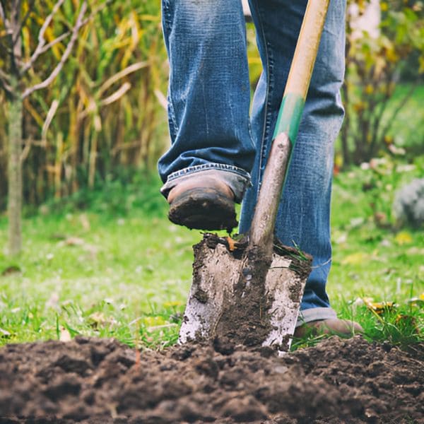 Hand Pulling and Digging 