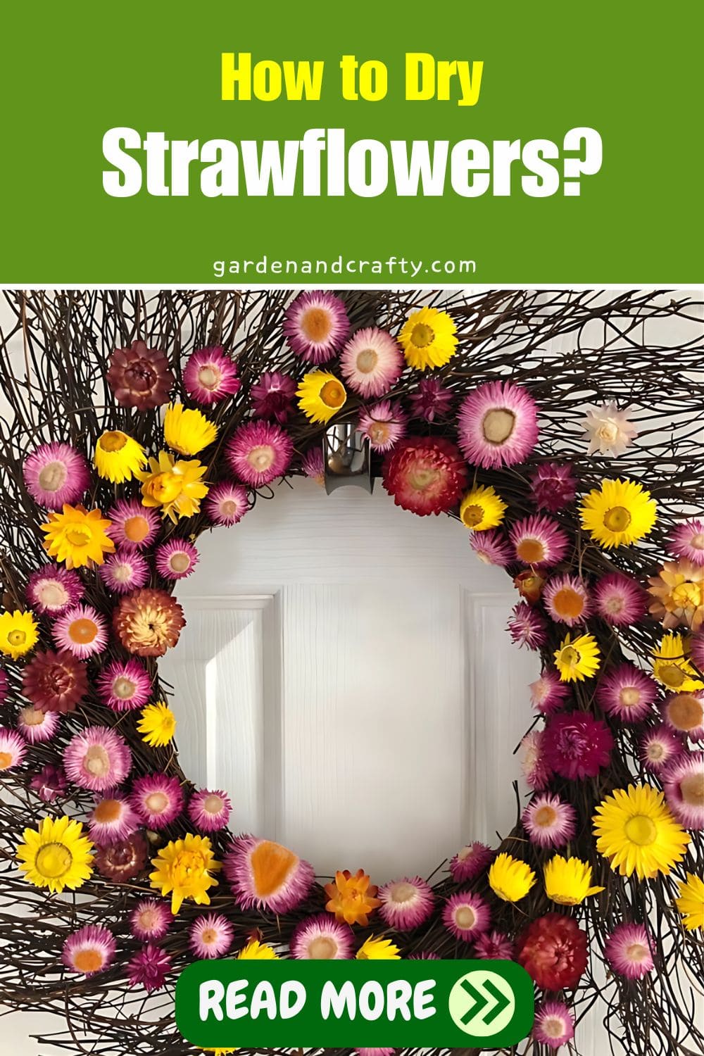 How to Dry Strawflowers