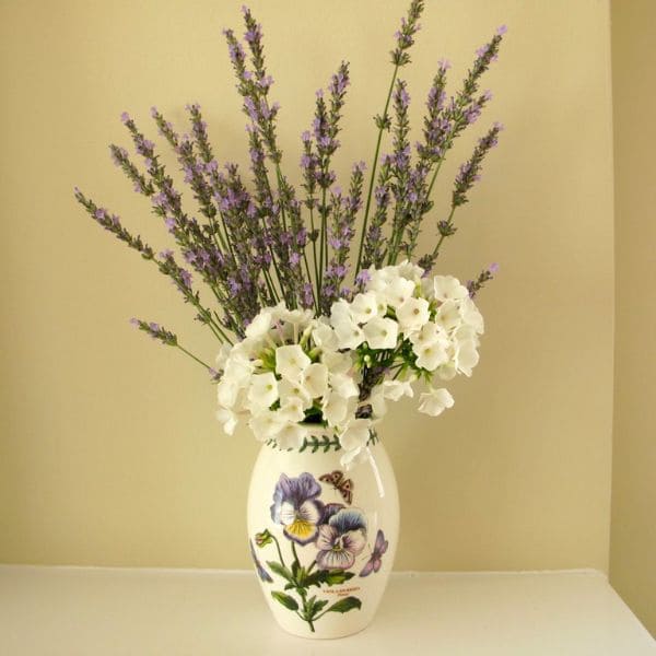 Lavender in Vase