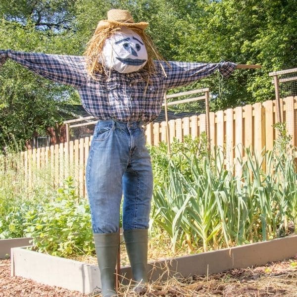 Make A Scarecrows