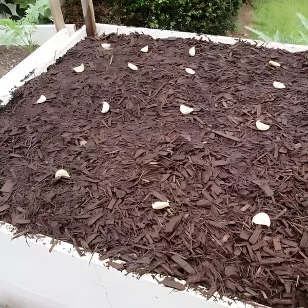 Mulching