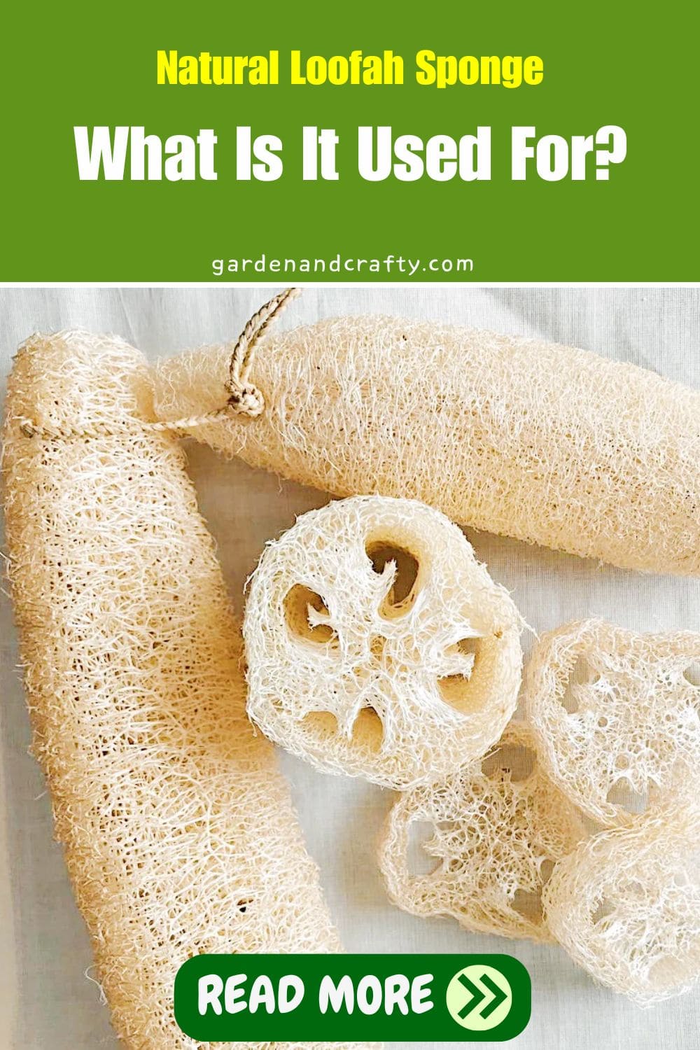 Natural Loofah Sponge: What Is It Used For?