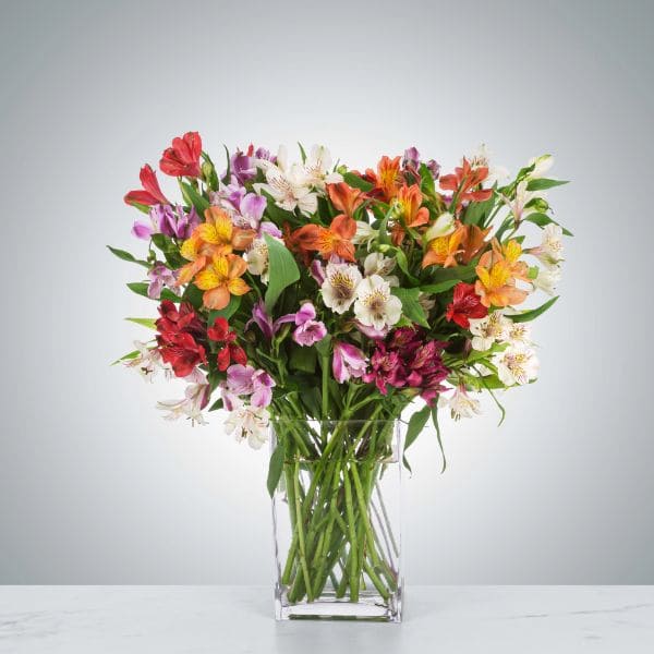 Peruvian Lily in Vase