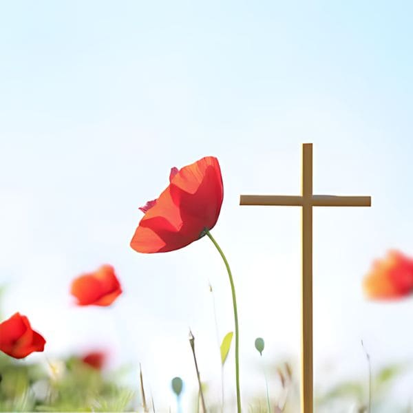 Poppy Flowers in Christianity