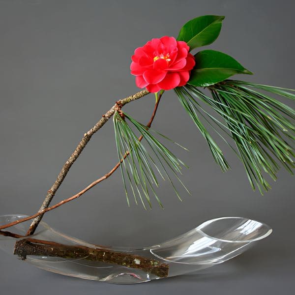 Red Camellia in Ikebana Arrangement