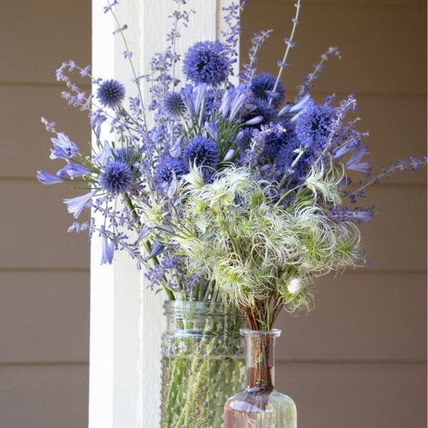 Russian Sage in Vase