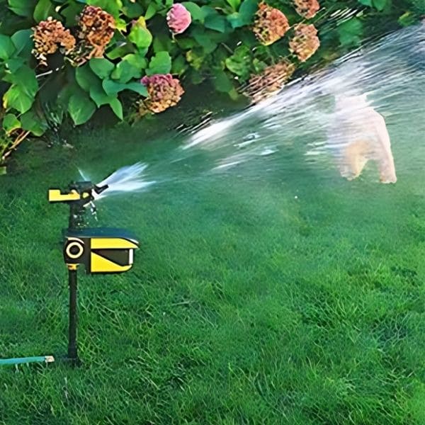 Setup Motion-activated Sprinklers