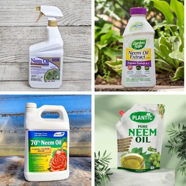 Some Products of Neem Oil on The Market