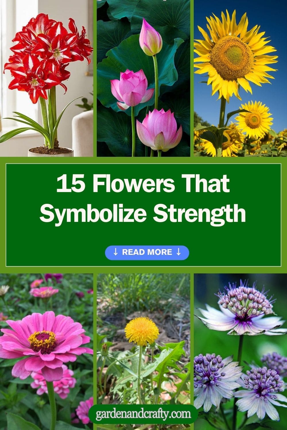 The 15 Most Beautiful Flowers That Symbolize Strength