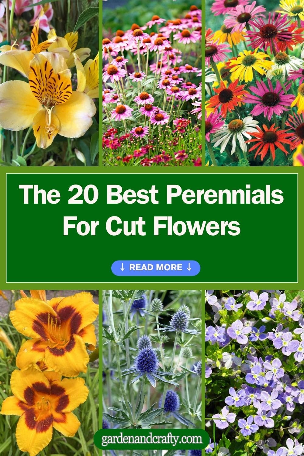 The 20 Best Perennials For Cut Flowers