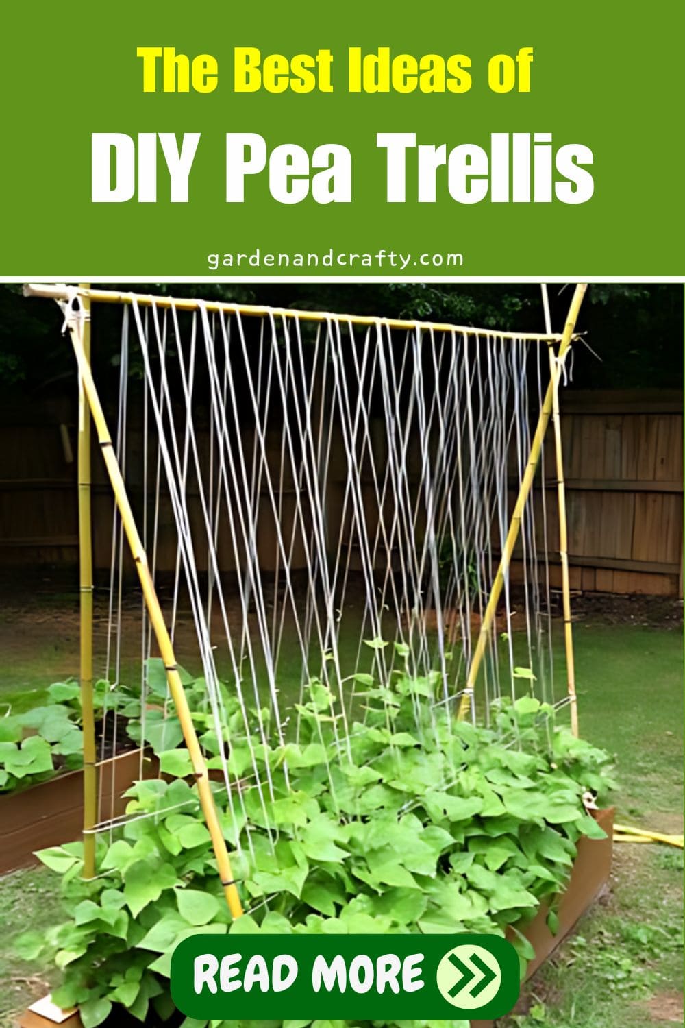 The Best Ideas of DIY Pea Trellis