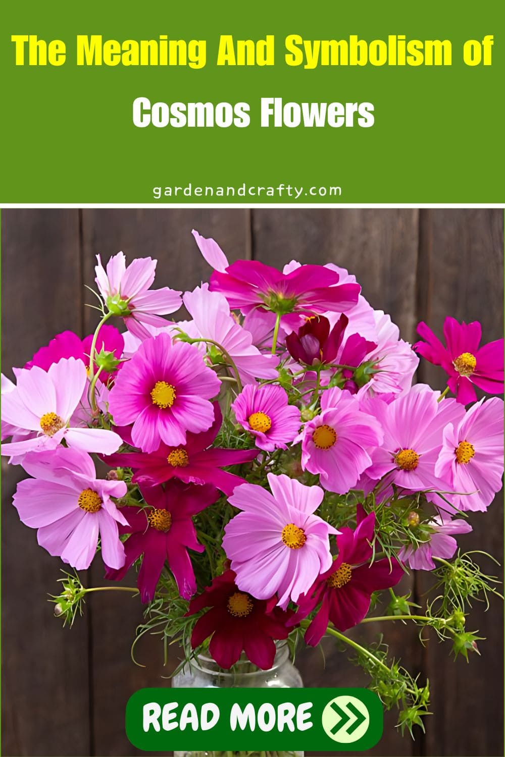 The Meaning And Symbolism of Cosmos Flowers