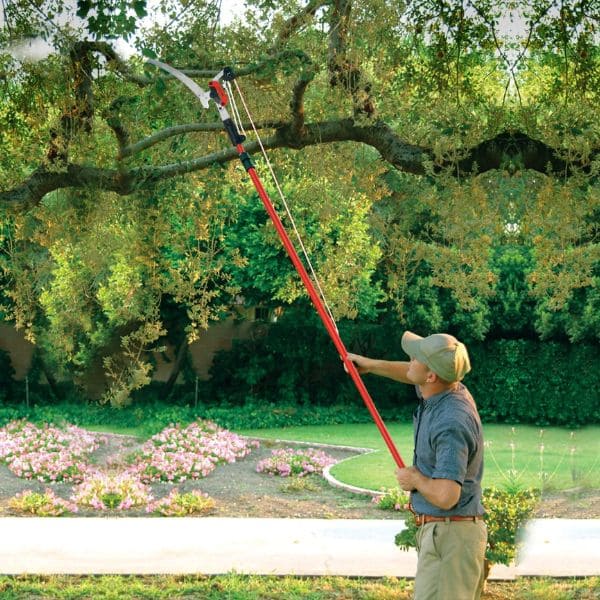 Tree Trimming