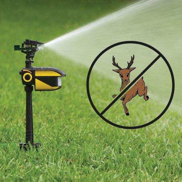 Using Motion-Activated Sprinkler