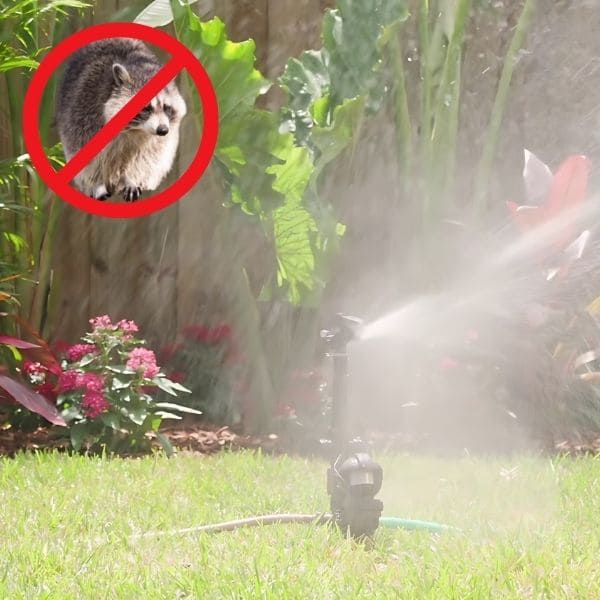 Using Motion-Activated Sprinkler