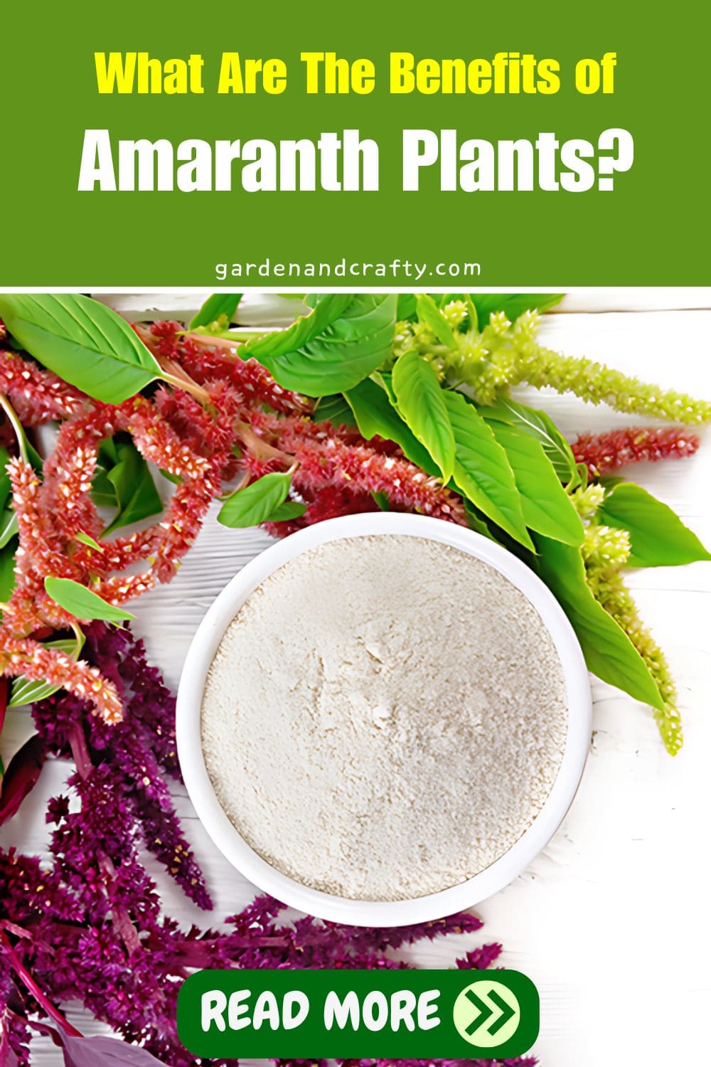 What Are The Benefits of Amaranth Plants?