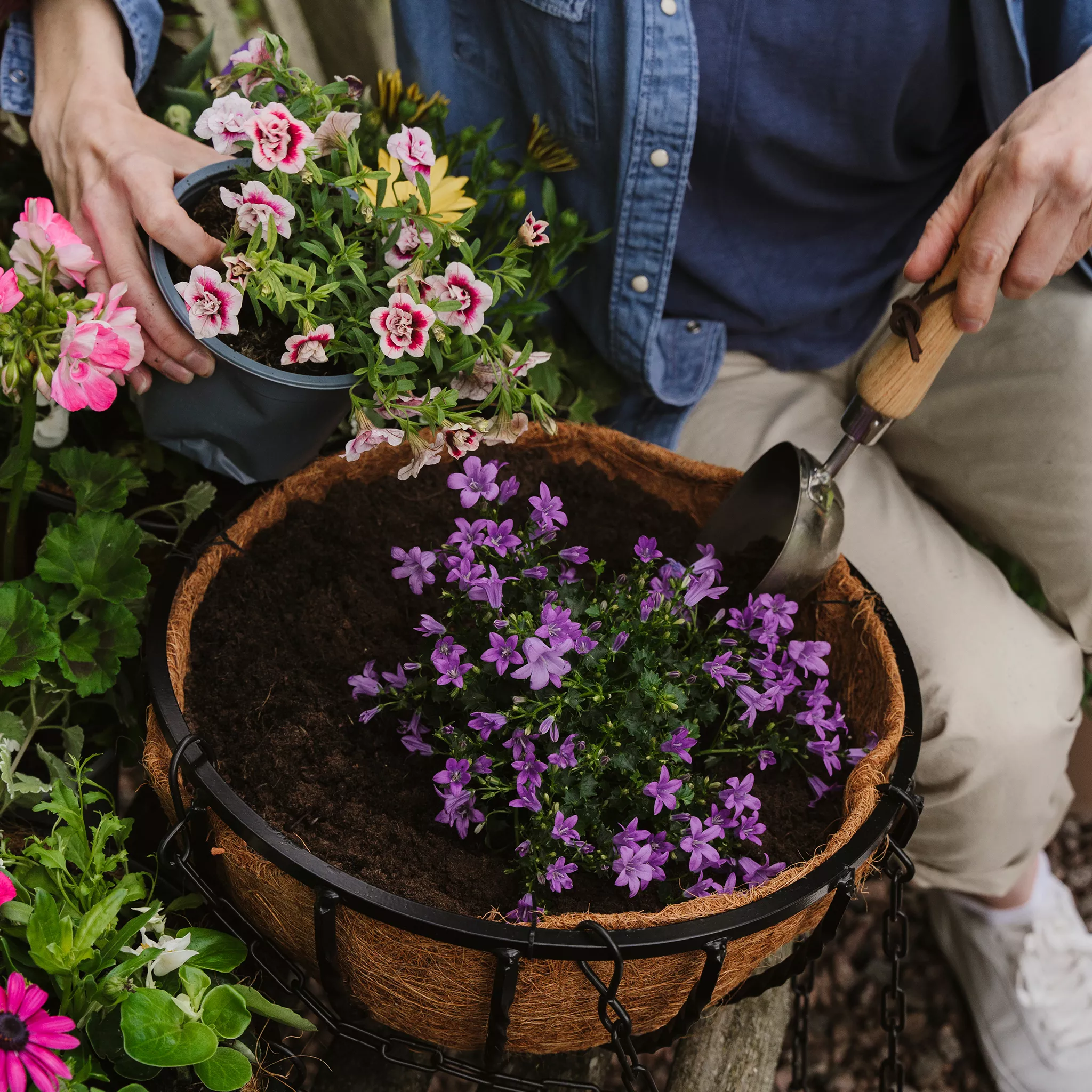 Use a Moisture-Retaining Soil