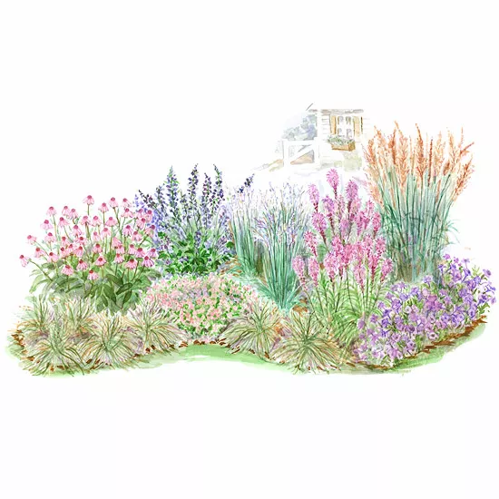 Prairie-Inspired Garden Layout